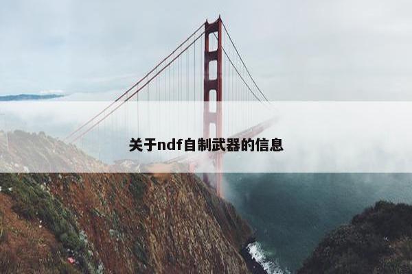 关于ndf自制武器的信息