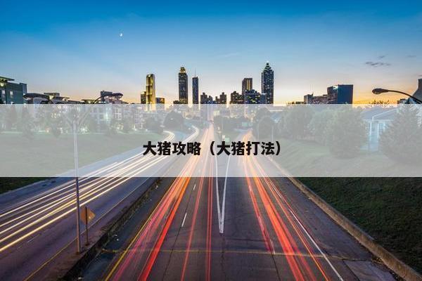 大猪攻略（大猪打法）