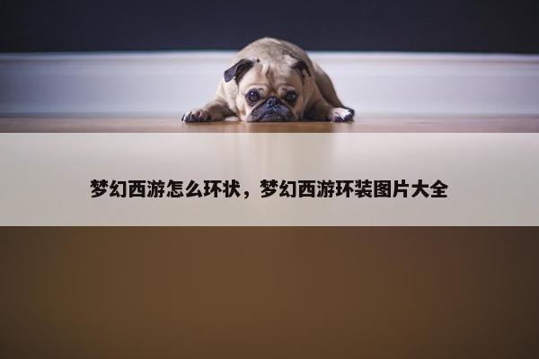 梦幻西游怎么环状，梦幻西游环装图片大全