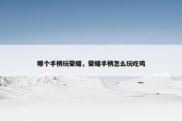 哪个手柄玩荣耀，荣耀手柄怎么玩吃鸡