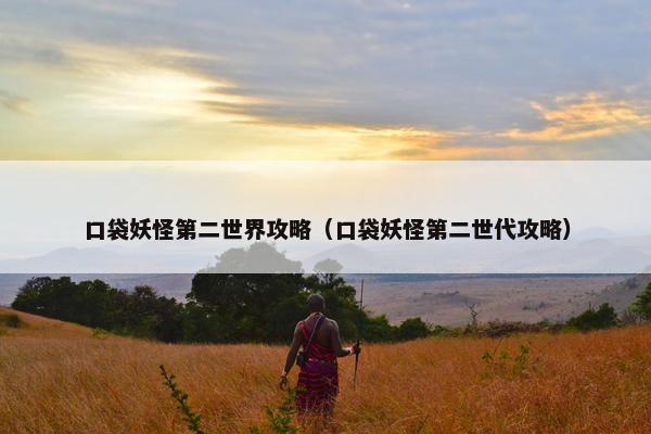 口袋妖怪第二世界攻略（口袋妖怪第二世代攻略）