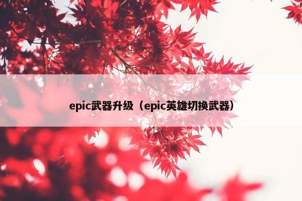 epic武器升级（epic英雄切换武器）