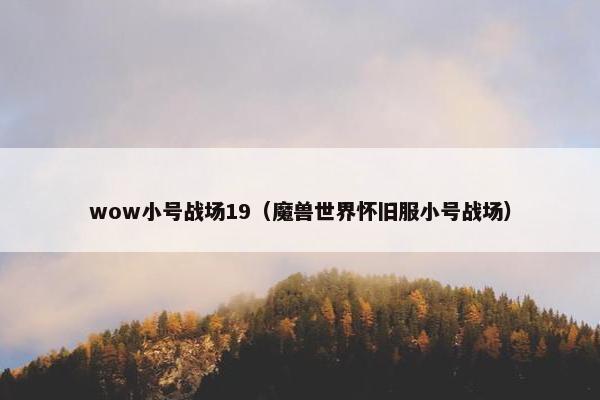 wow小号战场19（魔兽世界怀旧服小号战场）