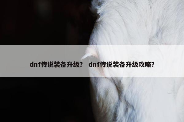 dnf传说装备升级? dnf传说装备升级攻略? dnf传说装备升级? dnf传说装备升级攻略?