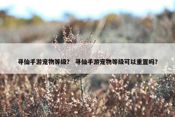 寻仙手游宠物等级? 寻仙手游宠物等级可以重置吗? 寻仙手游宠物等级? 寻仙手游宠物等级可以重置吗?