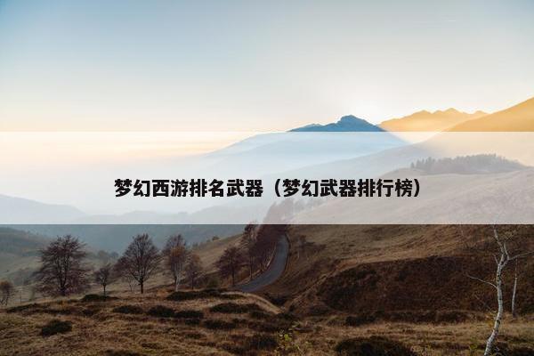 梦幻西游排名武器（梦幻武器排行榜）
