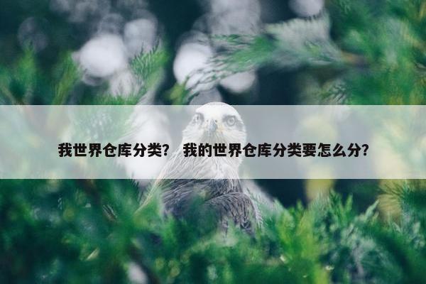 我世界仓库分类？ 我的世界仓库分类要怎么分？