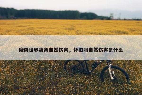 魔兽世界装备自然伤害，怀旧服自然伤害是什么