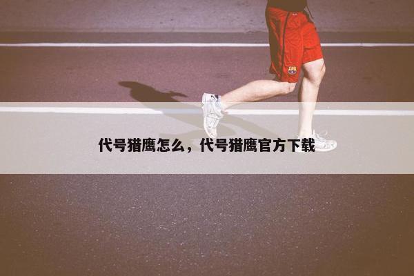 代号猎鹰怎么，代号猎鹰官方下载