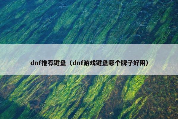 dnf推荐键盘（dnf游戏键盘哪个牌子好用）