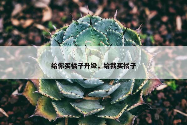 给你买橘子升级,给我买橘子 给你买橘子升级,给我买橘子