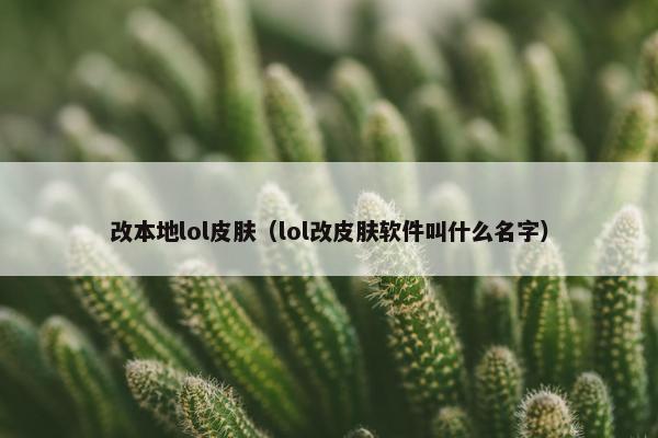 改本地lol皮肤(lol改皮肤软件叫什么名字) 改本地lol皮肤(lol改皮肤软件叫什么名字)