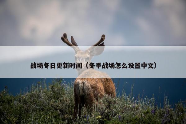战场冬日更新时间（冬季战场怎么设置中文）