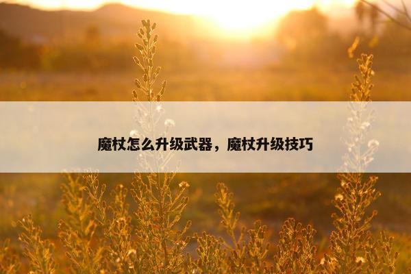 魔杖怎么升级武器,魔杖升级技巧 魔杖怎么升级武器,魔杖升级技巧
