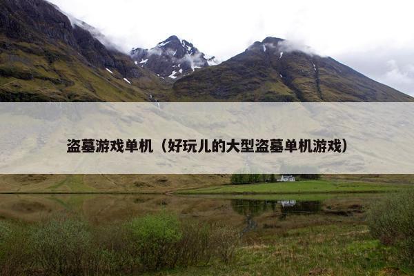 盗墓游戏单机（好玩儿的大型盗墓单机游戏）