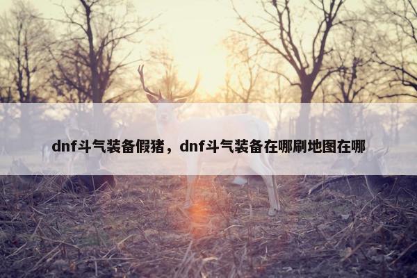 dnf斗气装备假猪，dnf斗气装备在哪刷地图在哪